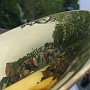 MaiSingen2009_58