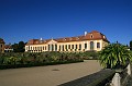 IMG_4241