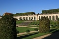 IMG_4253