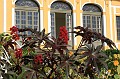 IMG_4286