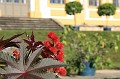 IMG_4310