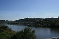 IMG_4317