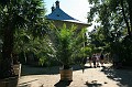 IMG_4364