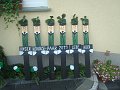 DSC07187