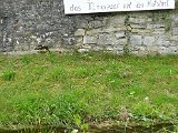 P1000454.JPG