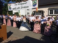 IMG 4599