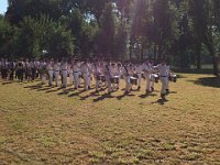 IMG 4647